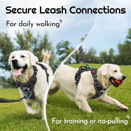 Eagloo Dog Harness No Pull for Small Dogs, Easy On & Off - Image 6