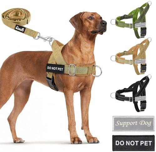 Lukovee No Pull Dog Harness and Leash Set, Soft Padded by Lukovee