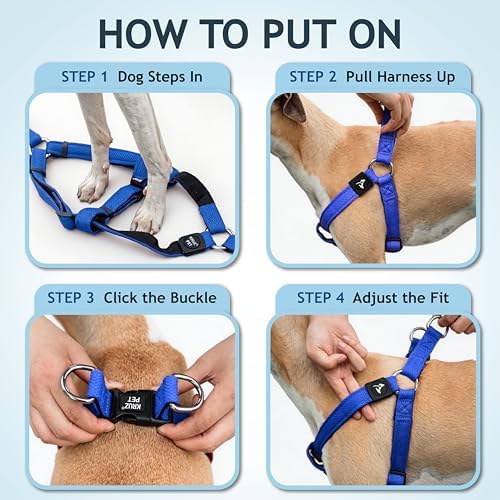 Kruz No Pull Dog Harness Heavy-Duty Pet Harness - Image 5
