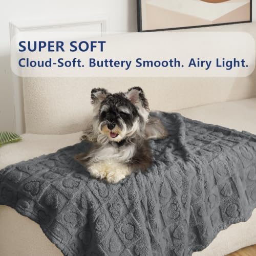 gogobunny Pet Blanket for Dogs Cats, 300GSM Ultra Soft Coral Fleece Blanket - Image 3
