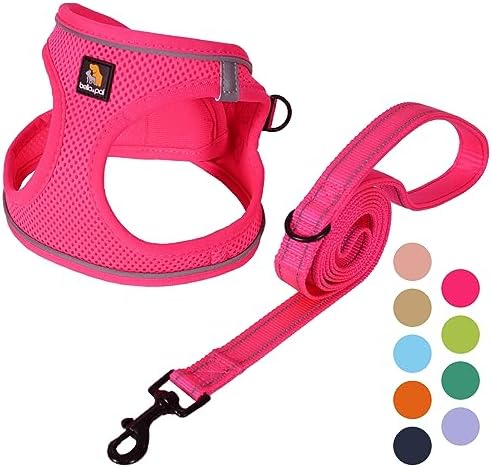 BELLA & PAL Step in Puppy Harness and Leash Set by BELLAPAL
