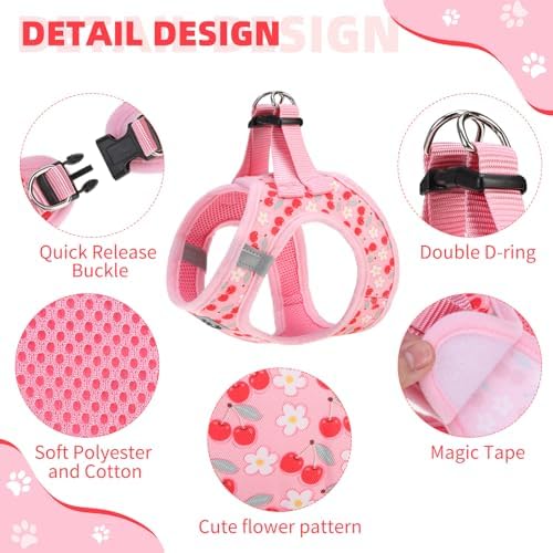 KOOLTAIL Dog Harness for Small Medium Dogs, Dog Harness and Leash Set, Step in - Image 4