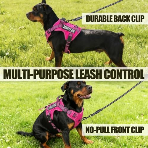 Dog Harness and Leash Set for Small Dogs, No Pull Tactical Dog Harness - Image 6