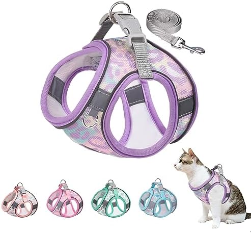Step in Mesh Dog Harness and Leash Set by BTDCFY