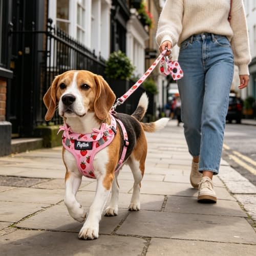 PUPTECK Dog Harness and Leash Set Medium Sized, Step in No Pull Adjustable - Image 6