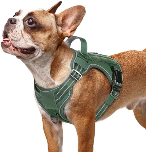 rabbitgoo Tactical Dog Harness for Small Dogs, No Pull Service Pet Vest by rabbitgoo
