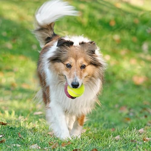 MEKAPLE 6 Pack Mini Tennis Balls - Image 4