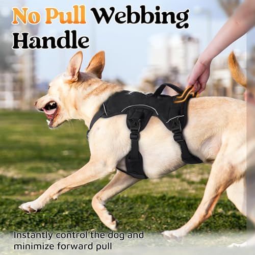 rabbitgoo Escape Proof Dog Harness - Image 5