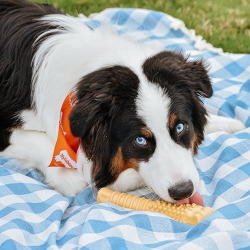 Nylabone Power Chew Textured Bone Dog Toy, Peanut Butter Flavor - Image 2