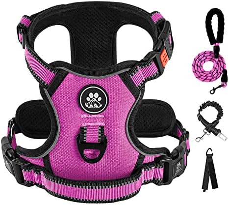 IVY&LANE No Pull Dog Harness for Small Dogs, Reflective Dog Vest Harness by IVYLANE
