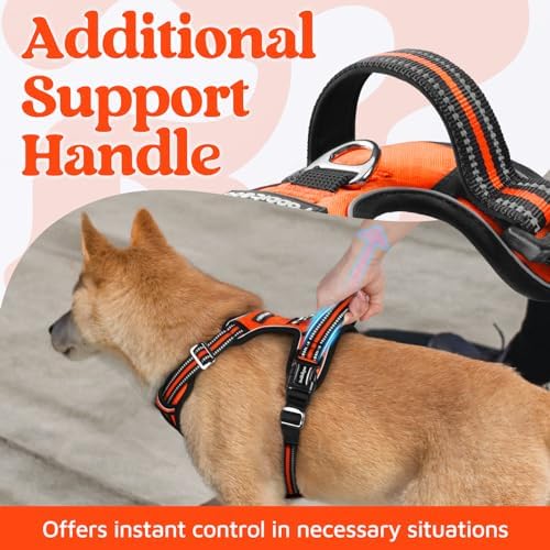 rabbitgoo Dog Harness for Large, No Pull 3 Buckles Easy On & Off - Image 4