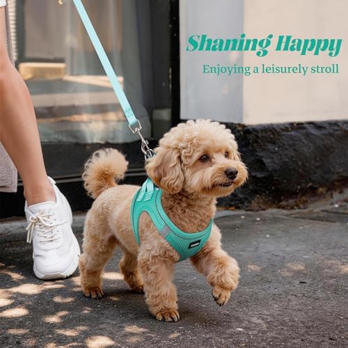 No Pull Dog Puppy Harness and Leash Set Reflective Mesh Vest Large - Image 6