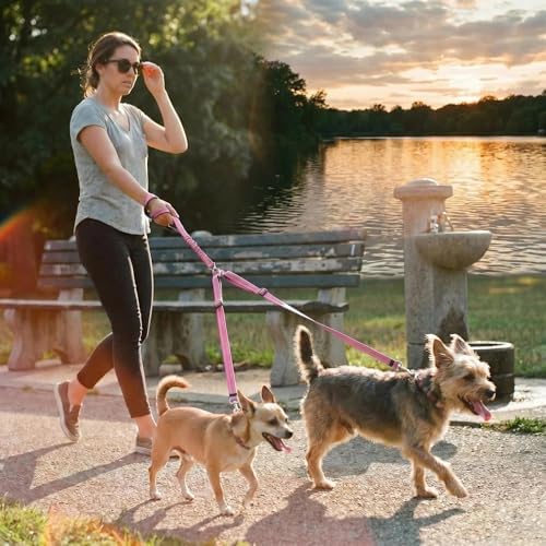 Double Leash for Two Dogs, No Tangle Bungee Dog Leash - Image 2