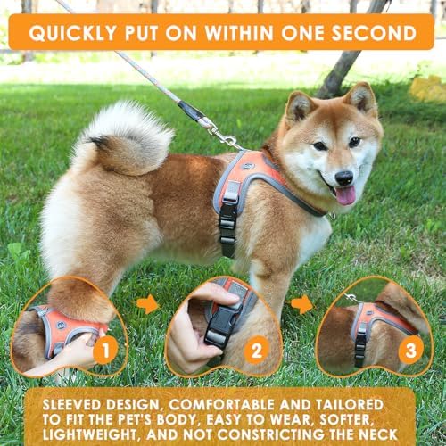 Dog Harness and Leash Set, No Pull Saddle Style Pet Harness, Breathable Mesh - Image 4
