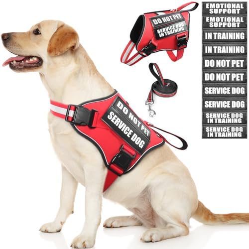 Service Dog Vest Harness and Leash Set+10 Patches, Easy On Off Red L by MOOGROUPETSFRIEND