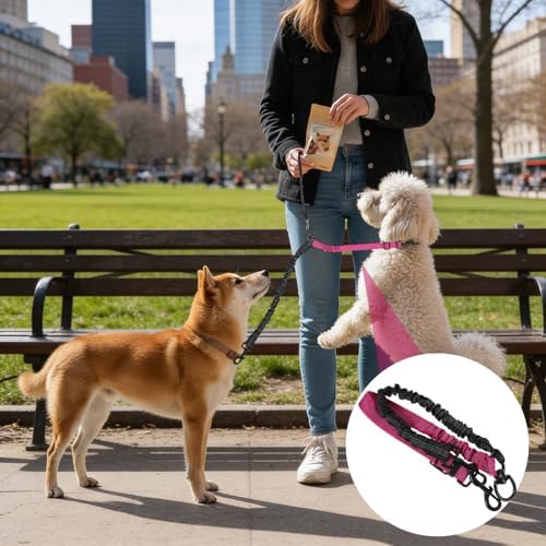 Double Dog Leash, 360° Swivel No Tangle Dual Lead - Image 2