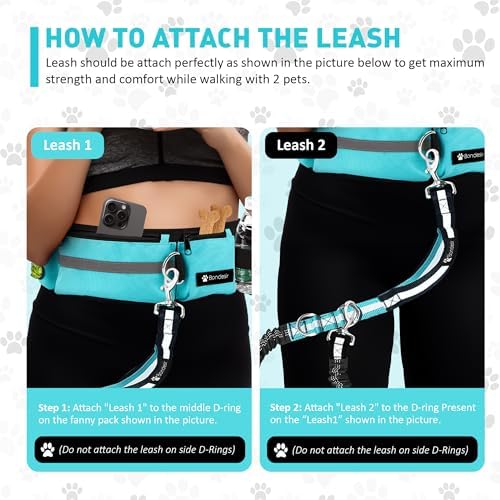 Waist Leash for Double Dog Walking 2 Medium and Large Dogs; Shock-Absorbing - Image 2