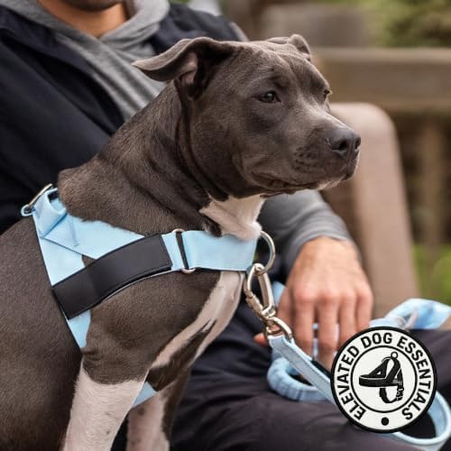Dog Friendly Co. Dog Harness for Small Dogs - Image 5