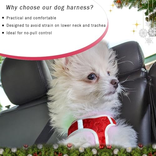 Comfort Fit Step-in Dog Harness All-Weather Dog & Puppy Harness Adjustable - Image 2