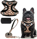 PUPTECK Dog Harness and Leash Set Small Sized, Step in No Pull Adjustable Puppy by PUPTECK