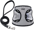 Dog Harness with Leash Set, Step-in Adjustable Puppy Vest by BOOMIBOO