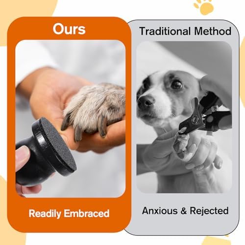 Dog Nail File with Replaceable Filing Disc Dog Nail File Scratch Board - Image 6