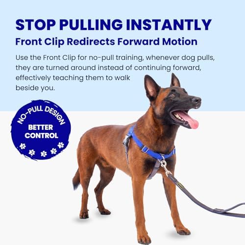 Freedom No Pull Dog Harness - Image 2