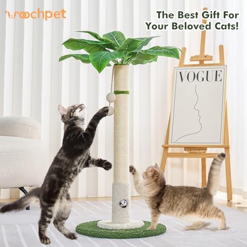 Woochpet Cat Scratching Post for Indoor Cats - Image 2