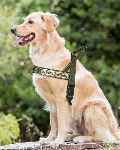 No Pull Dog Harness for Small Medium Large Sized Dogs, Escape Proof Adjustable - Image 7