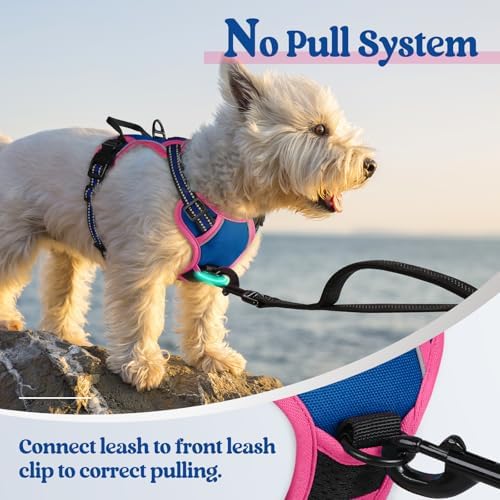 rabbitgoo Dog Harness, No Pull for Small Dogs - Image 5