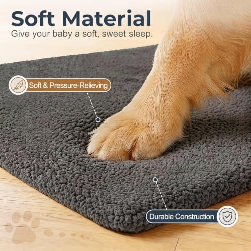 Explore Land Dog Crate Pan Cover - Image 2