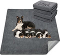 LOOBANI Washable Pee Pads for Dogs, 2 Pack Fast Absorbent Dog Mats by LOOBANI