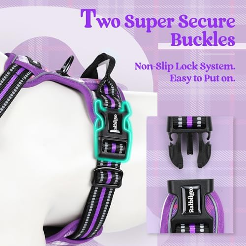 rabbitgoo Dog Harness, No Pull for Large Dogs - Image 3