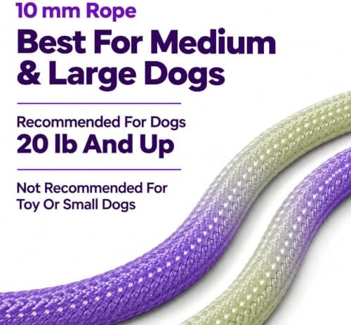 Hands Free Dog Leash, Double Handle Leash 6.5FT Purple-Green - Image 7