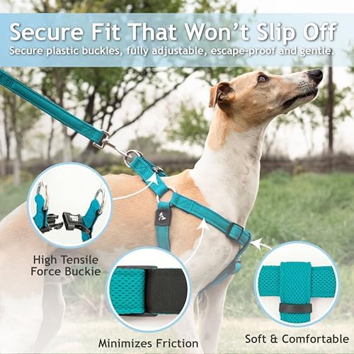 Kruz No Pull Dog Harness Heavy-Duty Pet Harness - Image 2