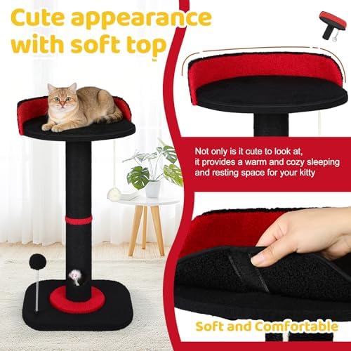Tall Cat Scratching Post for Indoor Cats, Sisal Scratching Post - Image 2