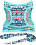 Step in Boy Dog Harness Leash Set- All Weather Reflective No-Pull Padded Mesh by MOONPET