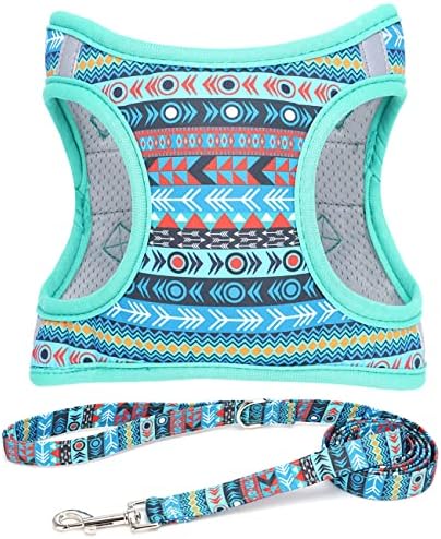 Step in Boy Dog Harness Leash Set- All Weather Reflective No-Pull Padded Mesh by MOONPET