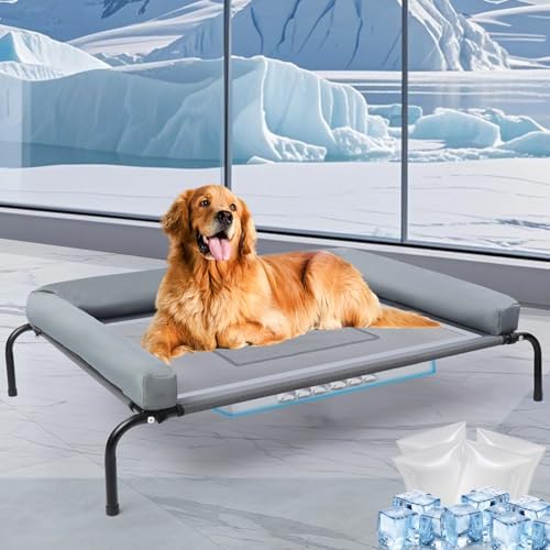 42''Cooling Elevated Dog Bed by Unknown