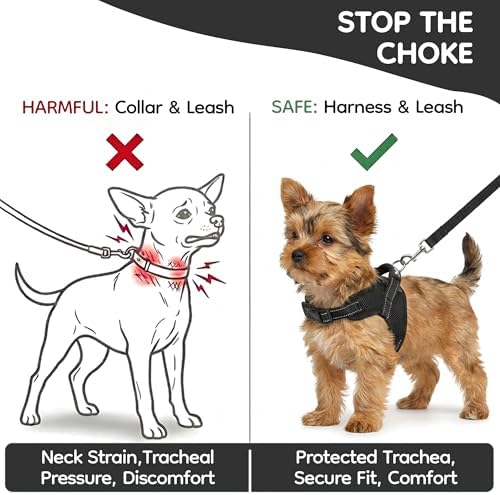 No Pull Reflective Adjustable Dog Harness - Image 5
