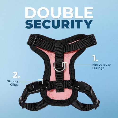Voyager Step-in Lock Cat Harness & Leash Set - Image 2