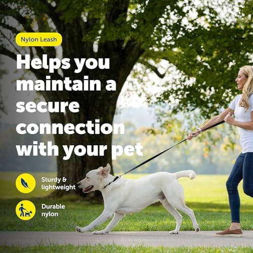 PetSafe Nylon Dog Leash, Raspberry Pink, 3/4 in x 4 ft - Image 2