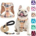 BEAUTYZOO Dog Harness Medium Sized and Leash Set, No Pull Pet Vest by BEAUTYZOO