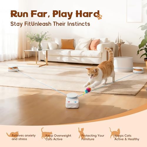Interactive Cat Toy for Indoor Cat, Automatic Treadmill for Exercise - Image 2