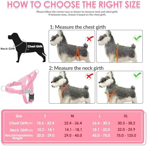 SlowTon No Pull Dog Harness and Leash Set - Image 6