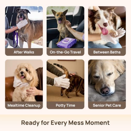 HICC PET Dog Wipes for Dogs & Cats, Individual Glove Packs - Image 5