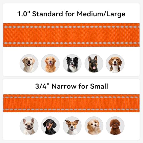 Joytale Reflective Dog Leash for Medium & Large Dogs, 6 FT x 1" - Image 6