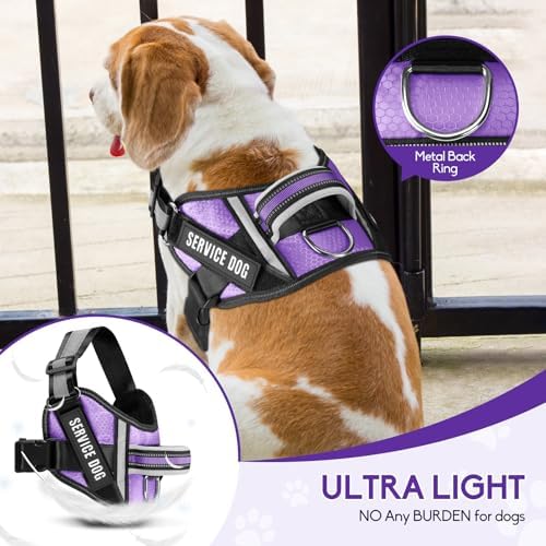 Service Dog Vest Harness and Leash Set, Animire in Training Dog Harness - Image 4