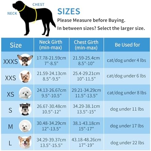AIITLE XXS Dog Harness & Leash Set - Image 3