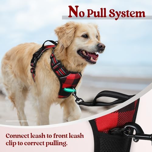 rabbitgoo Dog Harness, No Pull for Small Dogs - Image 5